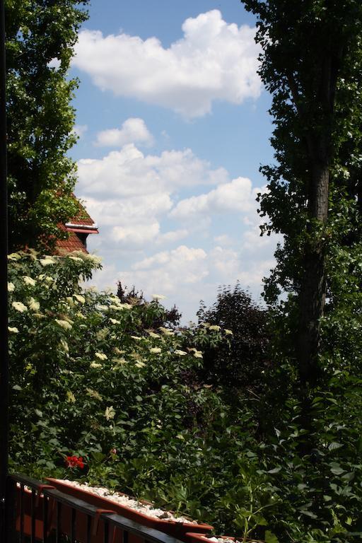 Highland Apartment Βουδαπέστη Δωμάτιο φωτογραφία
